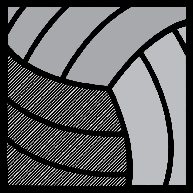 Volley-ball