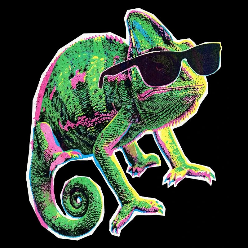 Lunettes de soleil caméléon
