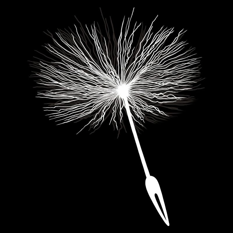 Loewenzahn Samen Pusteblume