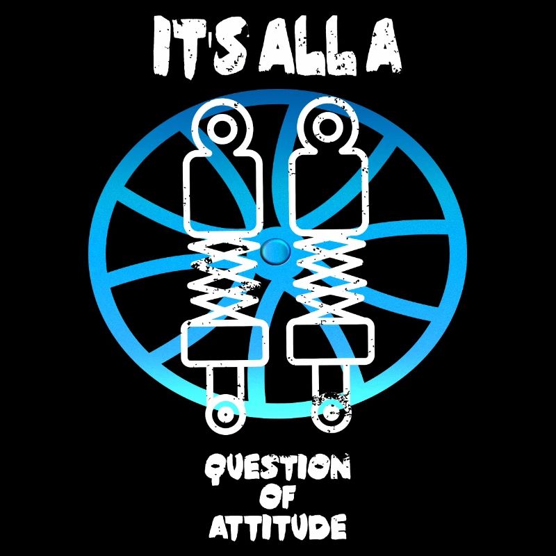 Fahrwerk Einstellung