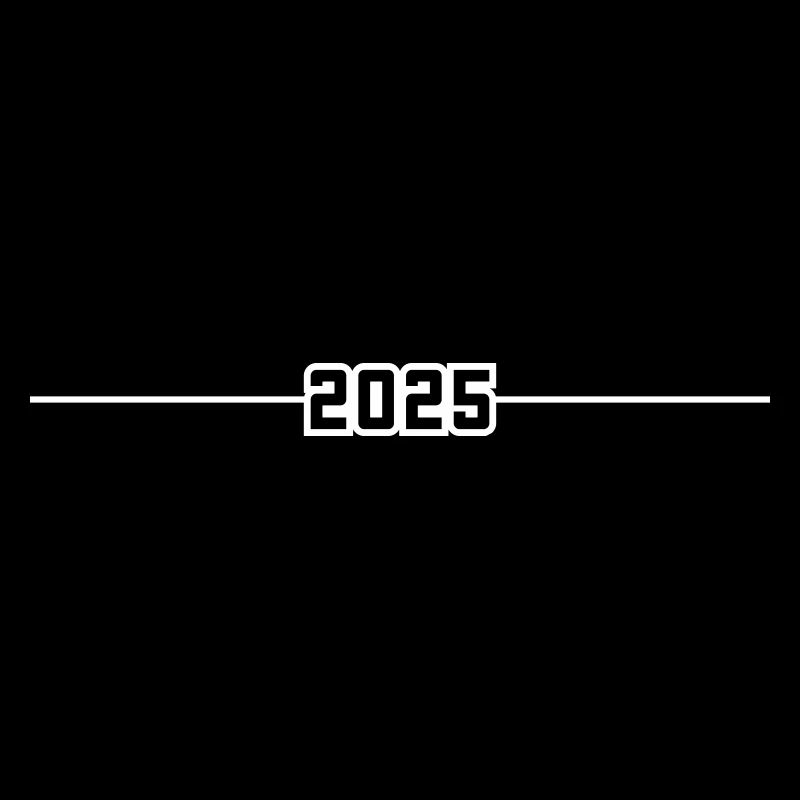 2025 year