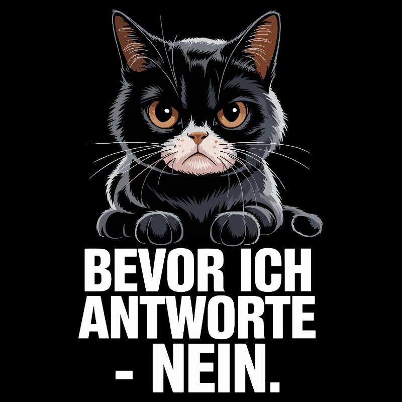  Bevor Ich Antworte Nein Lustige Grumpy Katze