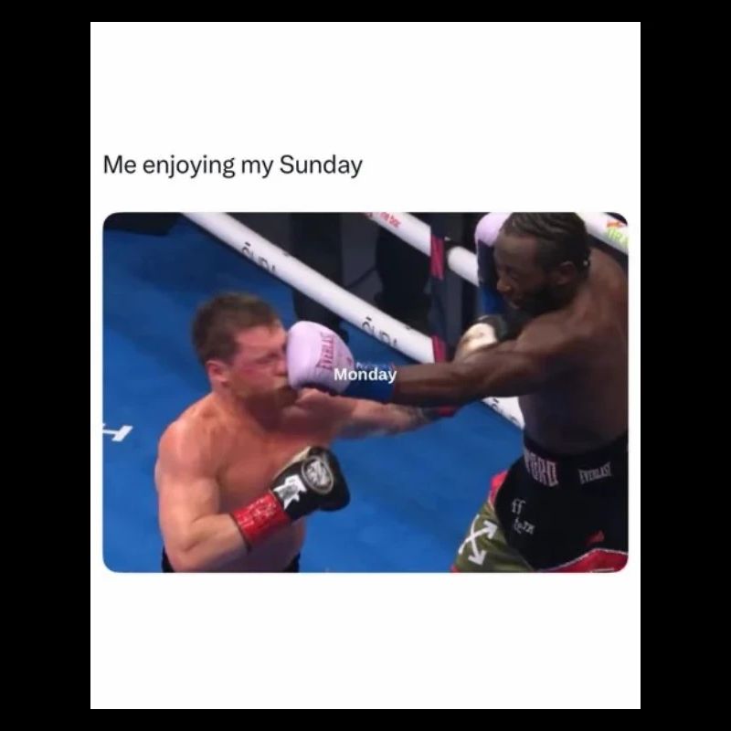 Moment de boxe du dimanche