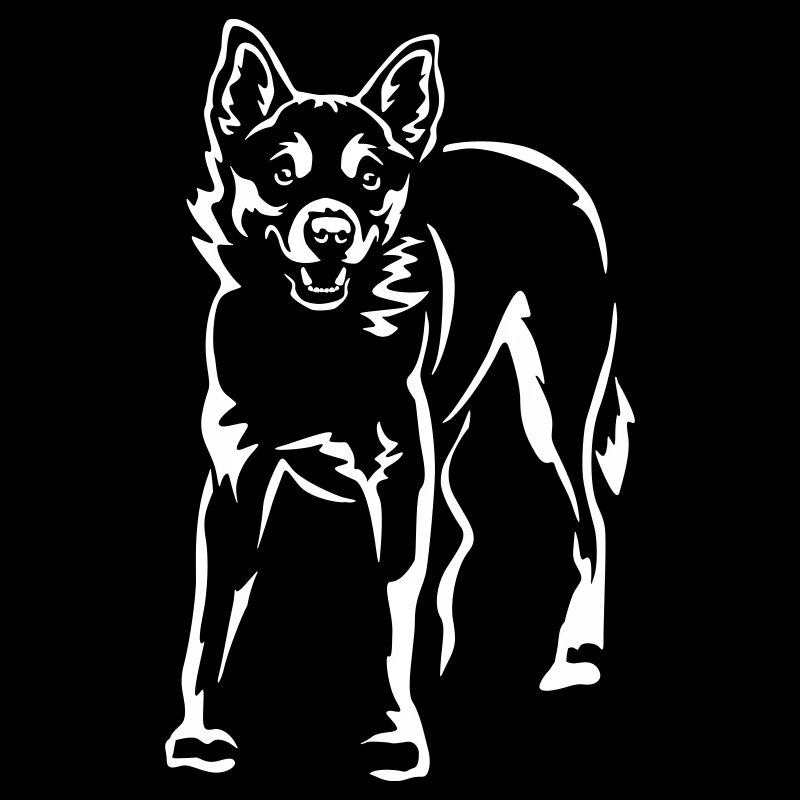 Norwegian Lundehund "Black Edition"