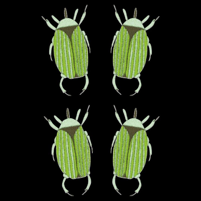 insecte vert