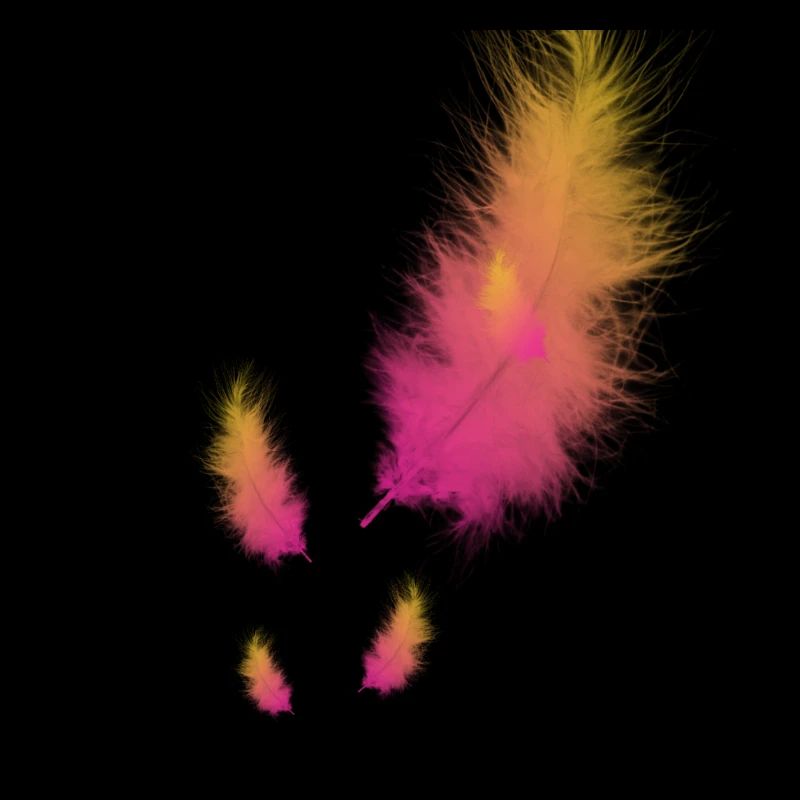 feather