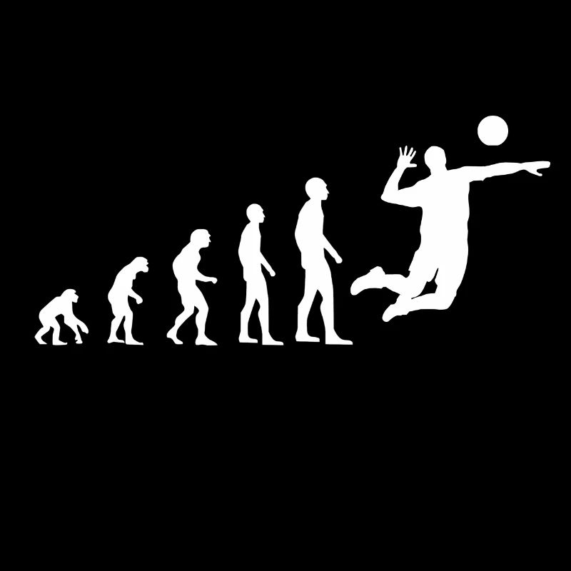 Evolution Volleyball