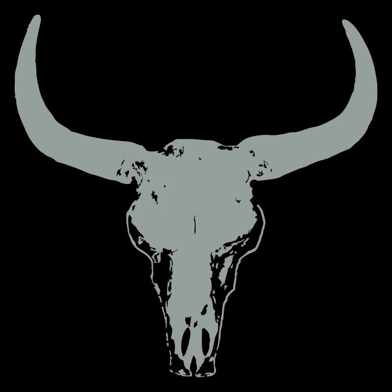 Buffalo Skull
