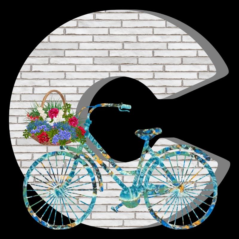 vélo e 100 c