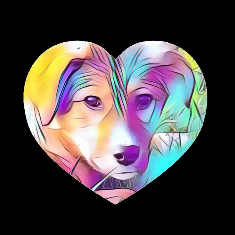 Hund