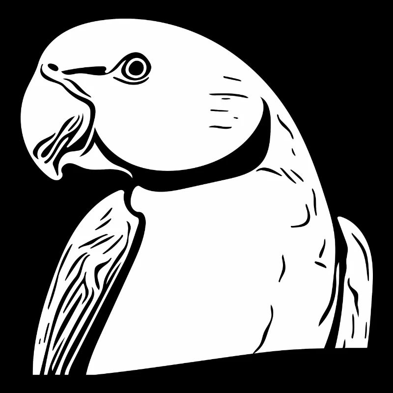 Collared Parakeet Portrait Vintage Parrot Drawing