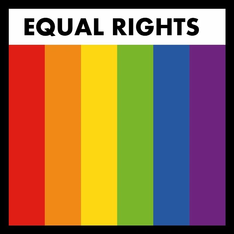 Equal rights pride flag