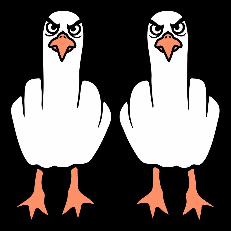 2 Seagulls Doigt d’honneur Insulte Stinkfinger Équipe