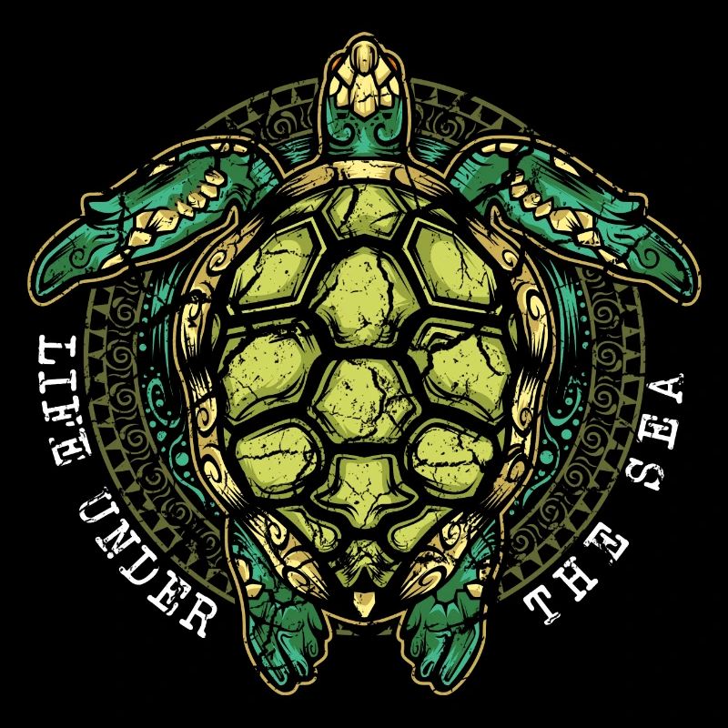 Turtle turtles