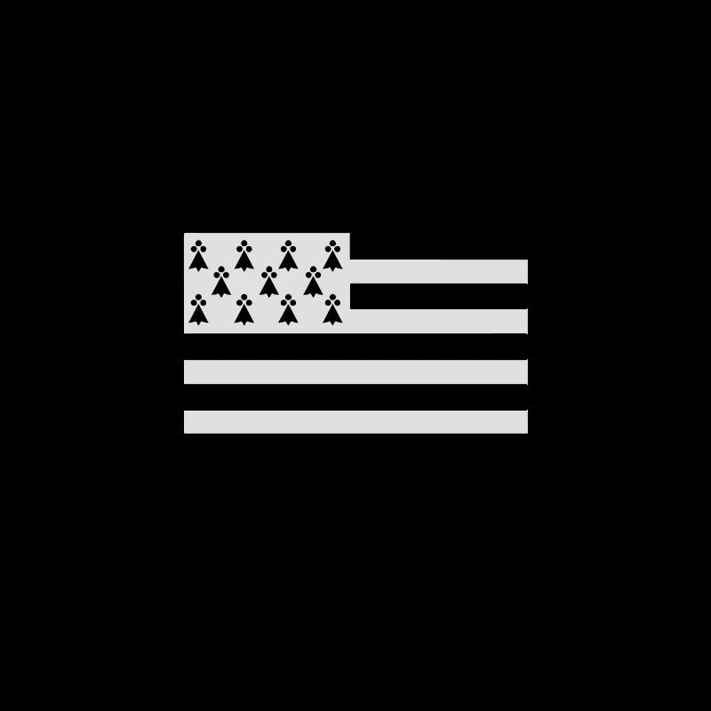 Made in Bretagne drapeau 2