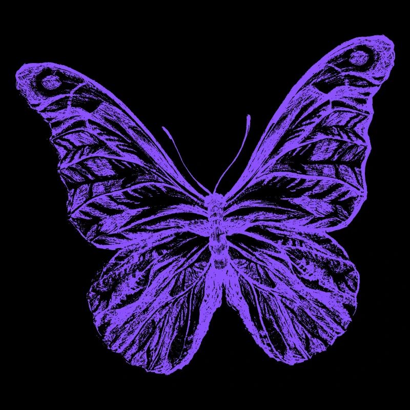 Schmetterling