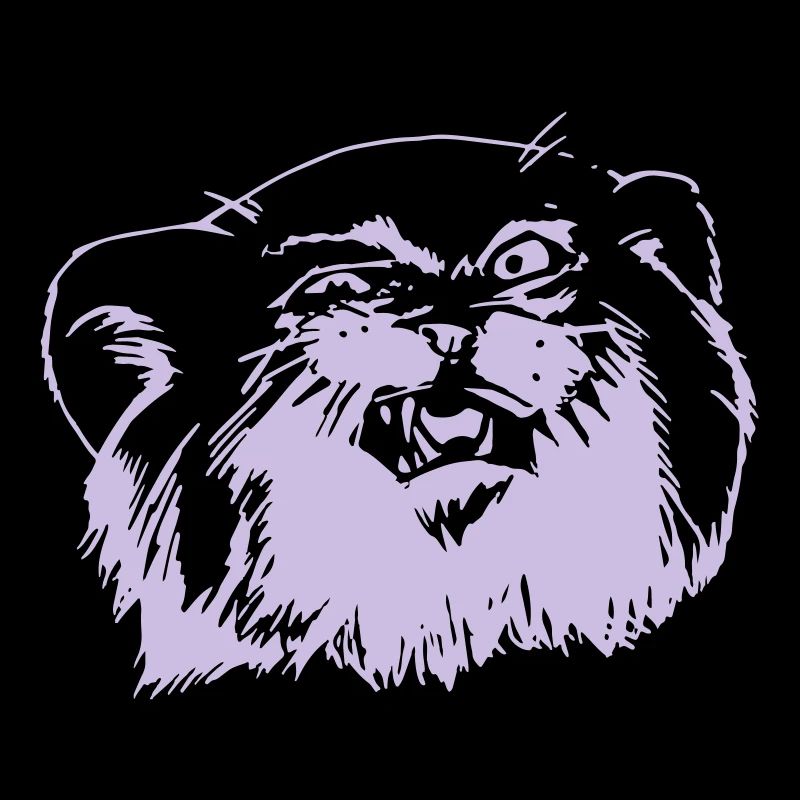 Pallaskatze Manul face