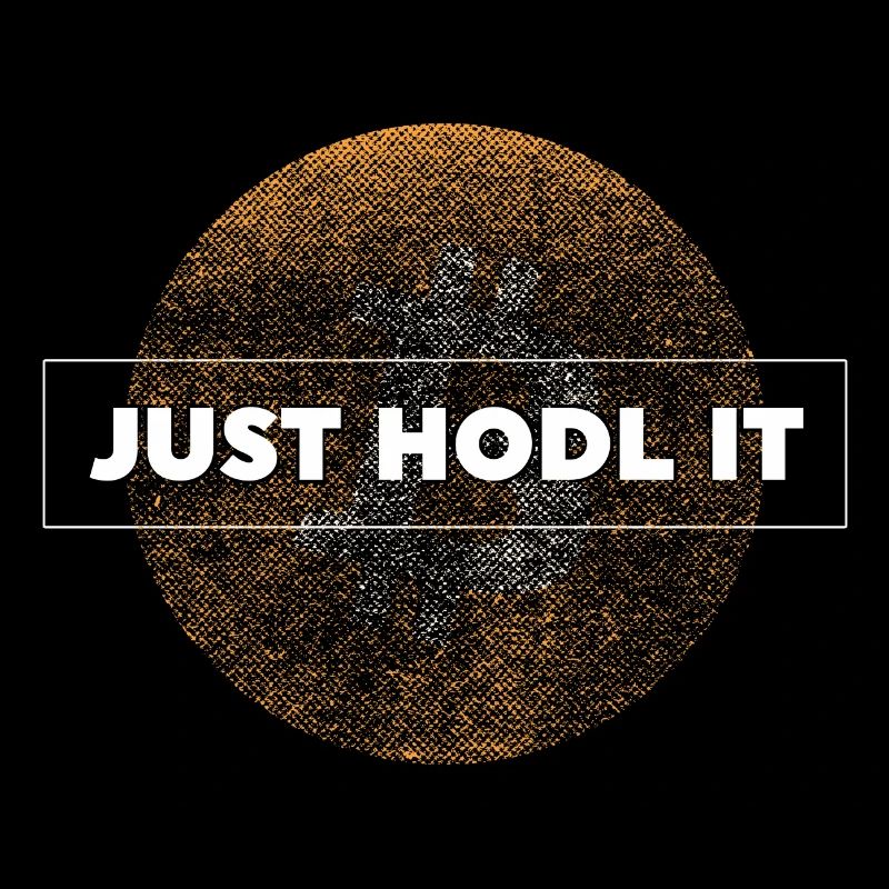 Bitcoin Shirt Men Just Hodl It Funny Cryptography Tee
