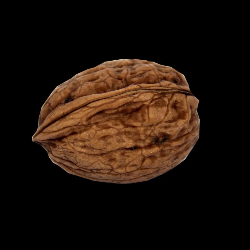 walnut