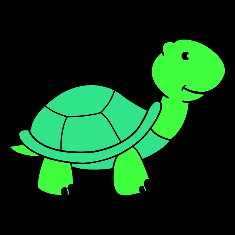 tortue