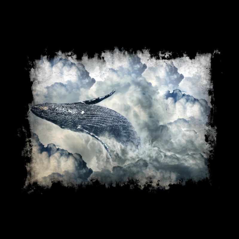 Wal in den Wolken