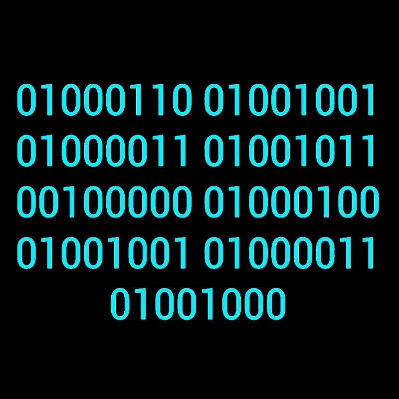 BINARY CODE / BINARY CODE F**K YOU GIFT IDEA