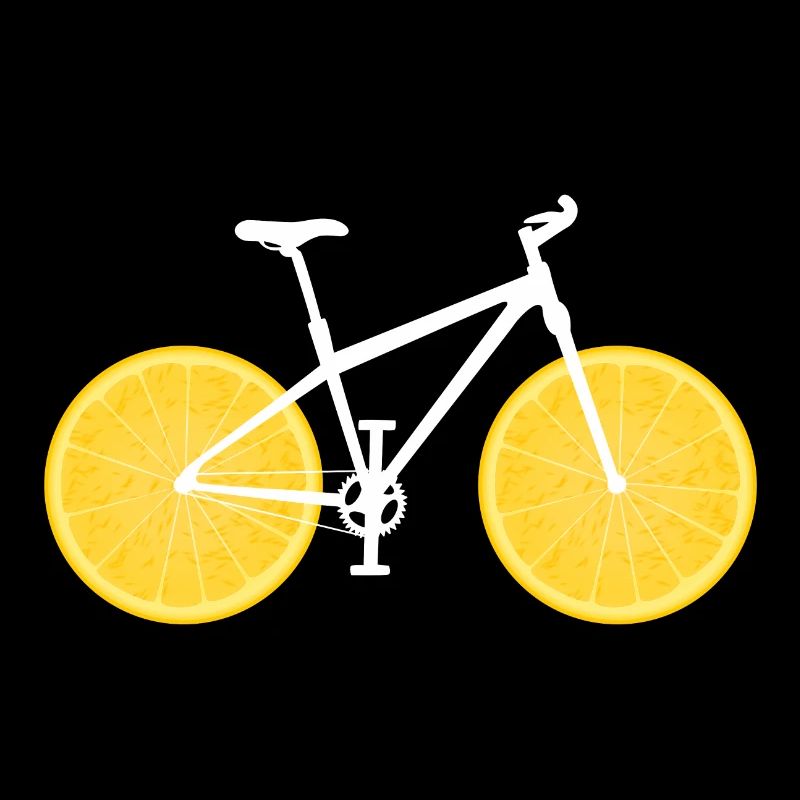 Fruit Bicycle Lemon Lime Orange / Gift