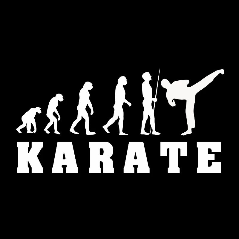 Evolution Karate