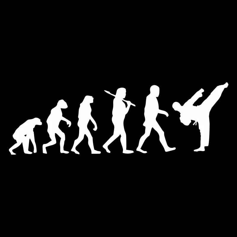 Evolution Karate Judo Kampfsport MMA Japan Aikido