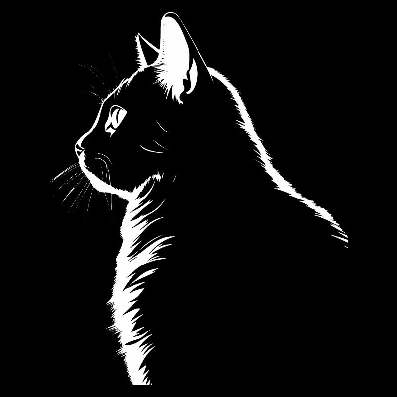 Chat, Motif De Chat