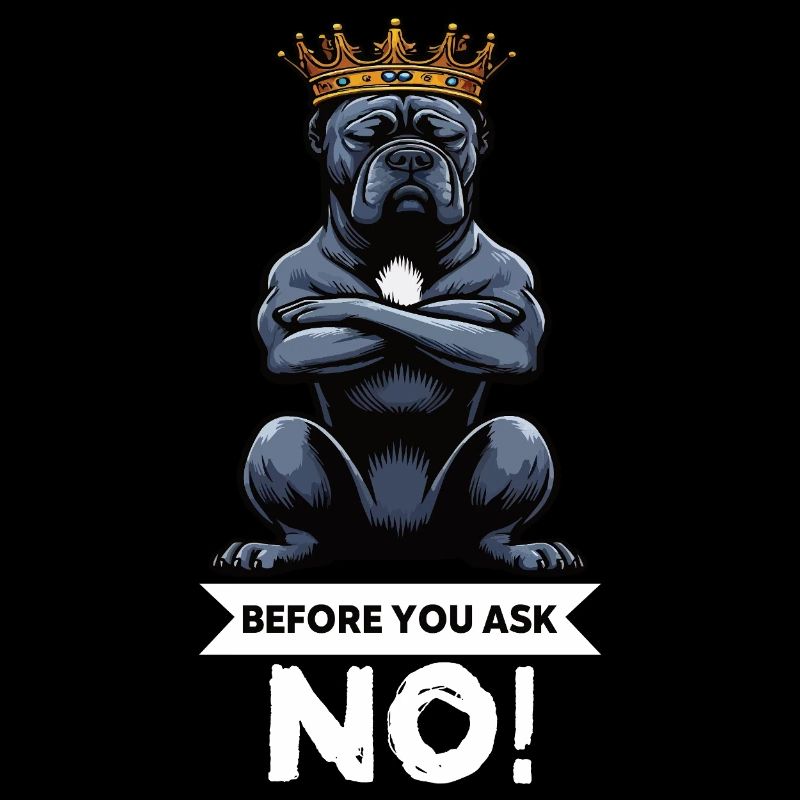 Before You Ask Cane Corso Cane Corsos Corso halter