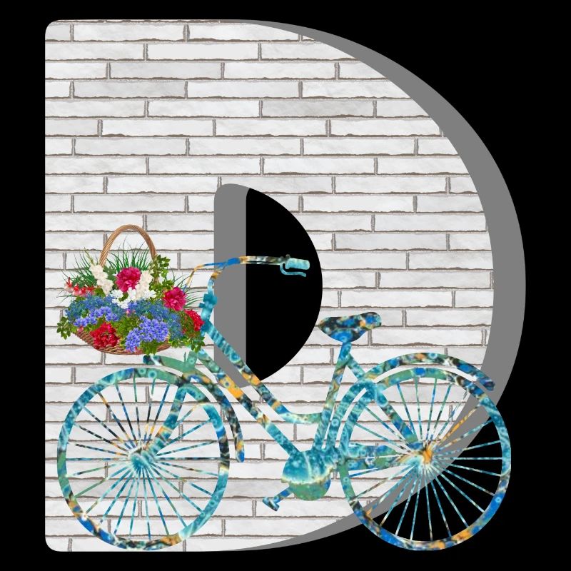vélo e 100 d