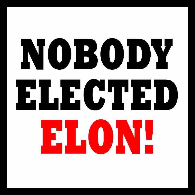 nobody elected elon