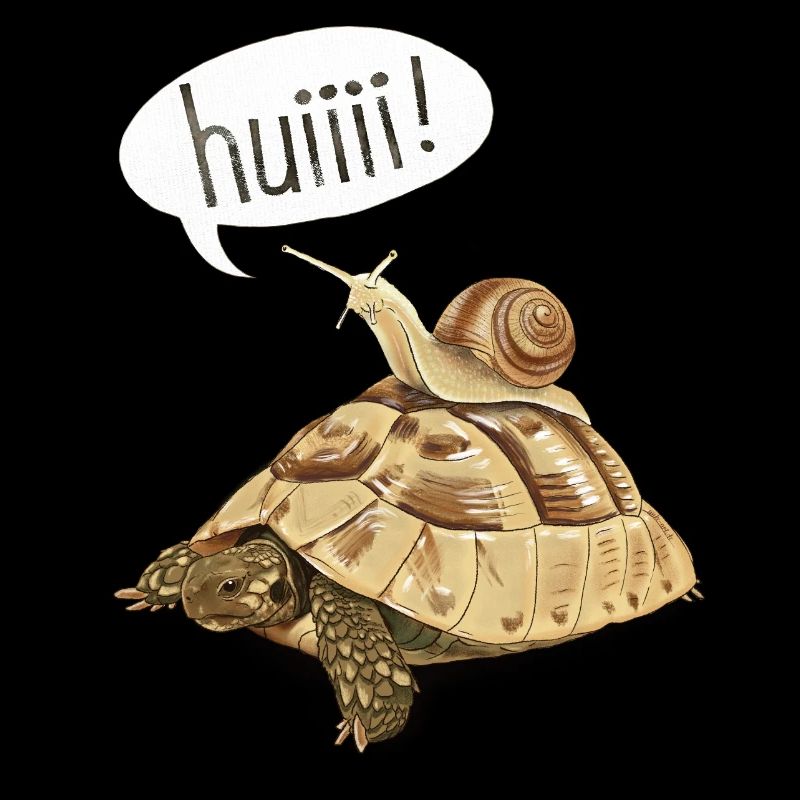 Schnecke im Geschwindigkeitsrausch – Schildkröte