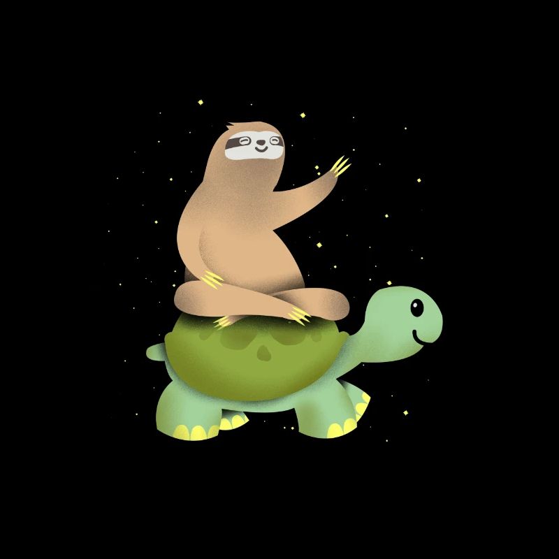 Sloth turtle gift