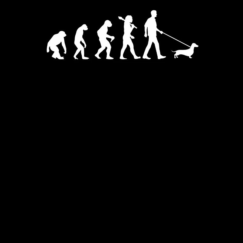 Evolution du teckel
