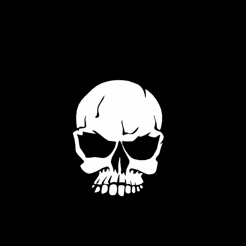 Pirat Skull Anker