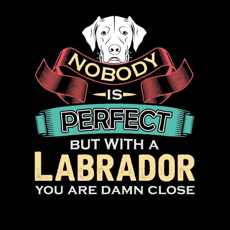 Labrador