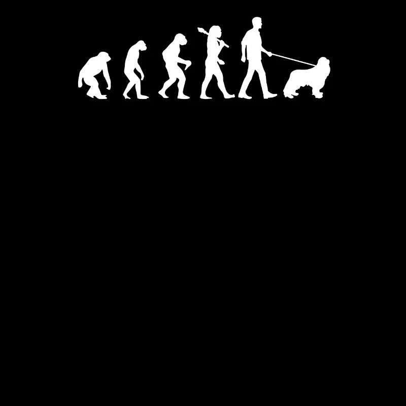 Evolution Of Cocker Spaniels