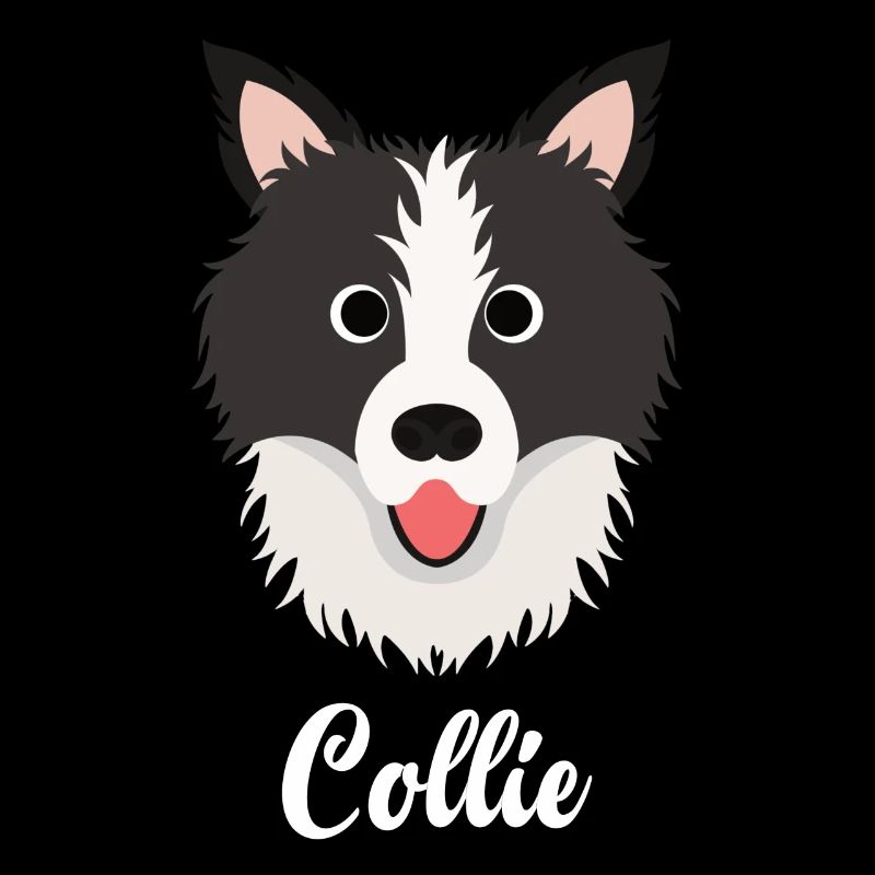 Collie - Border Collie