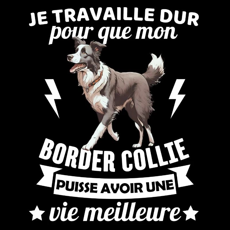 Humour border collie chien mignon 1