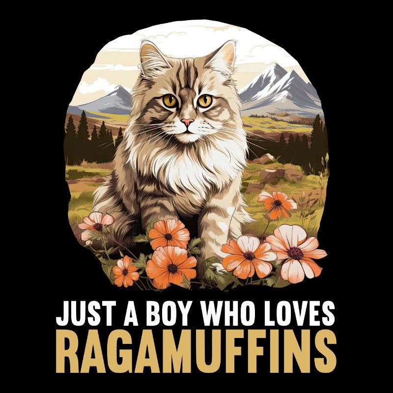 Ragamuffin Kätzchen Ragamuffin Katze