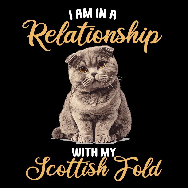 Scottish Fold Kätzchen Scottish Fold Katze