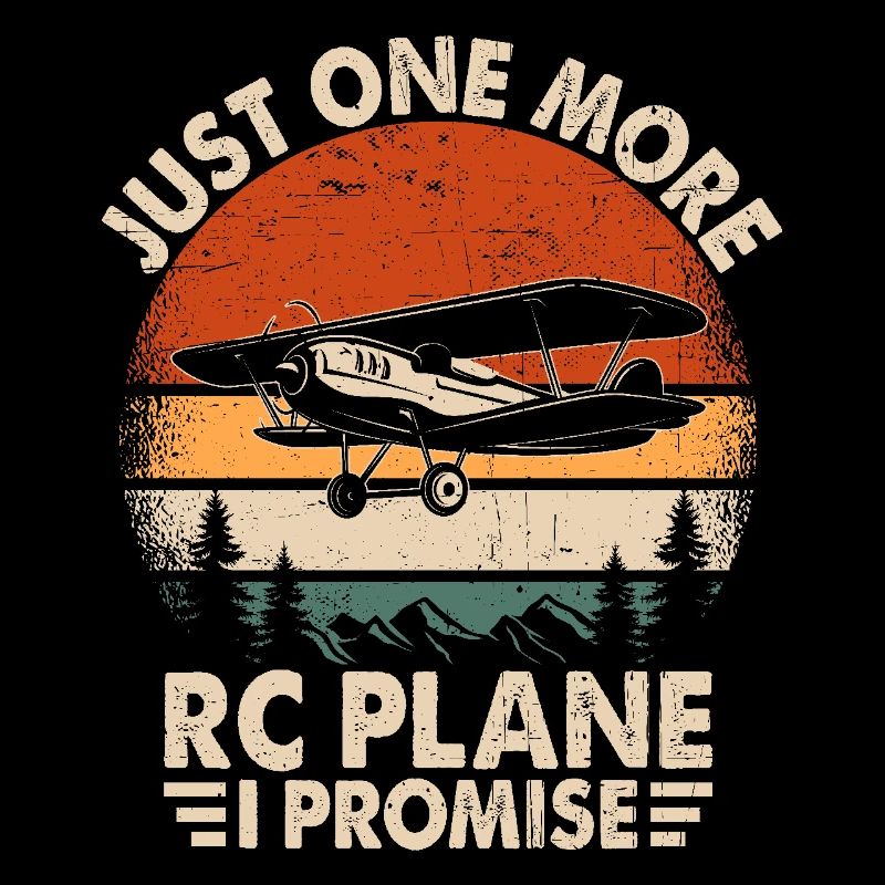 Nur noch ein RC-Flugzeug, versprochen