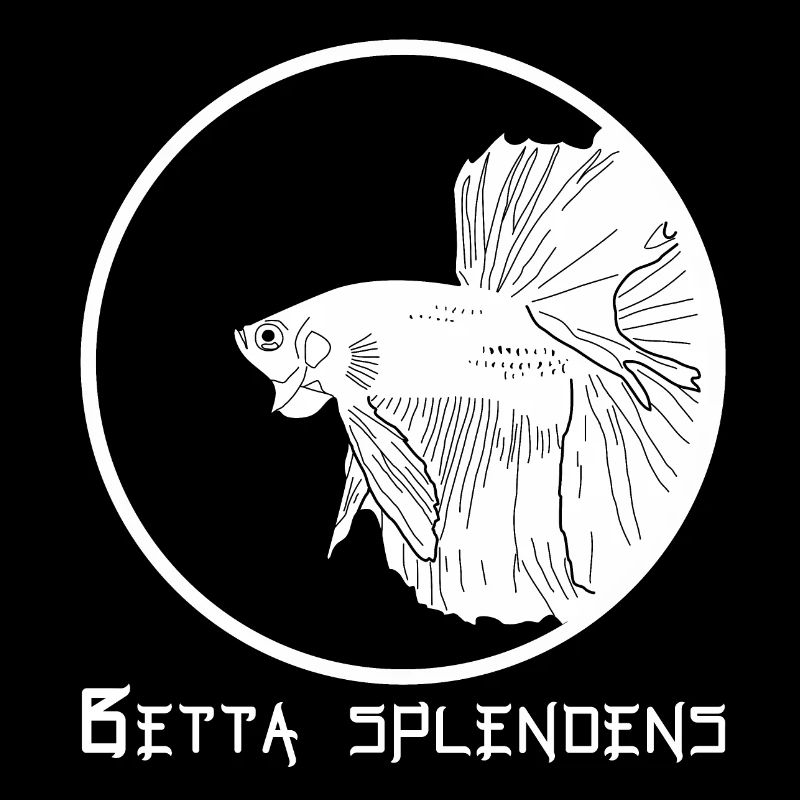 Betta splendens (Halfmoon)