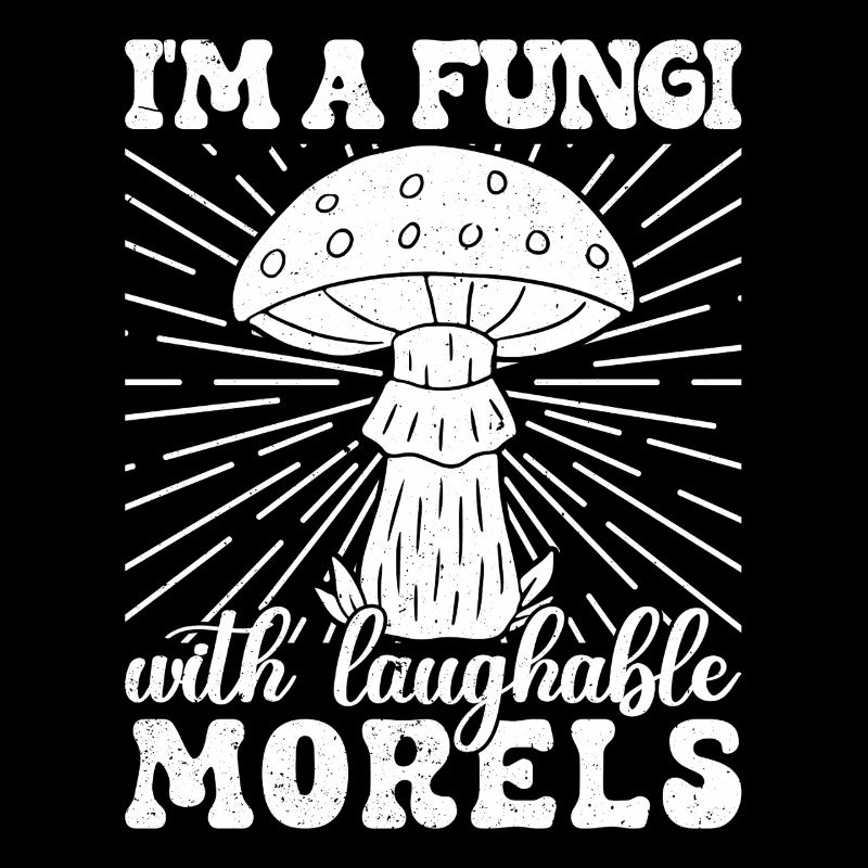 Morilles Champignons Champignons Morilles risibles Champignon