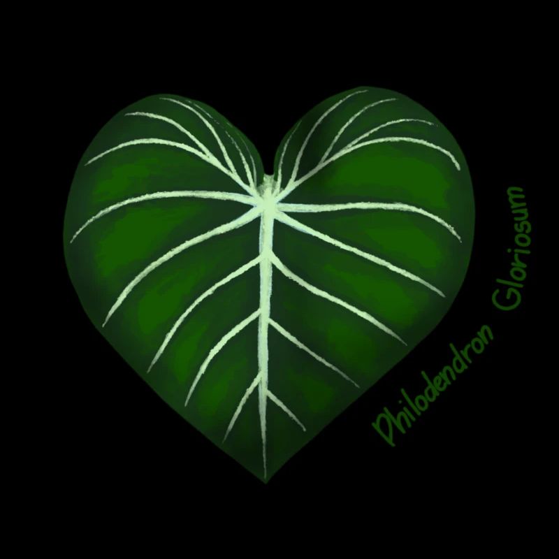 Philodendron Gloriosum