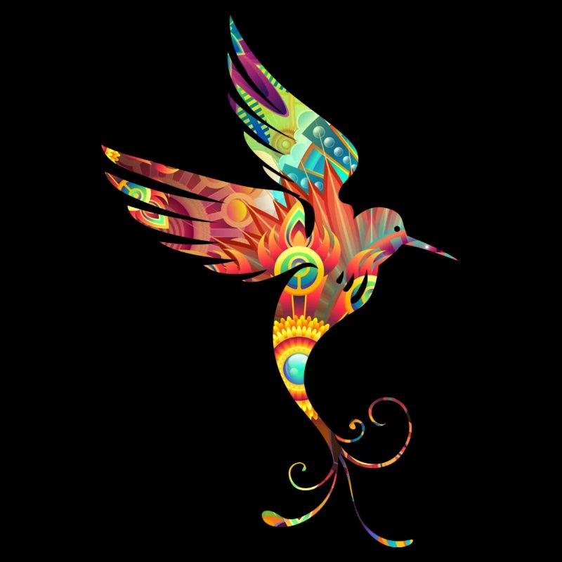 Vogel bunt Kolibri Silhouette