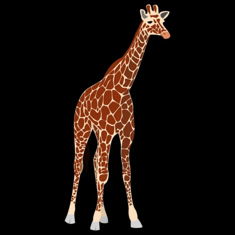 girafe