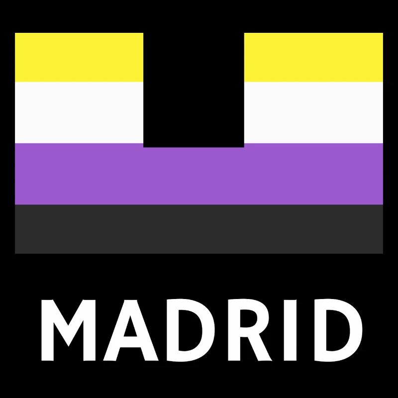 Non binary Pride Flag Madrid